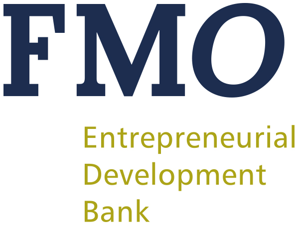 Netherlands Development Finance Company Logo